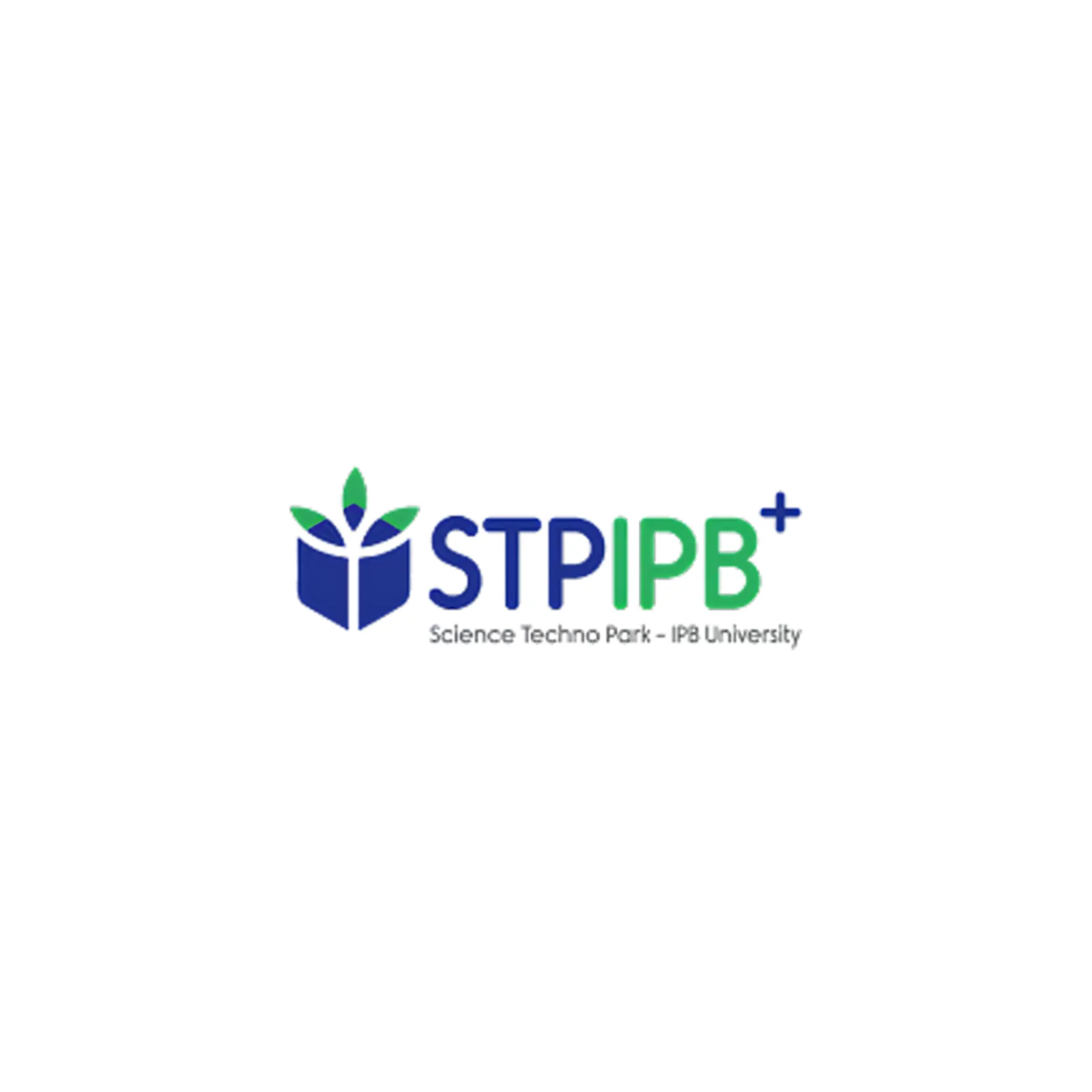 STP IPB+