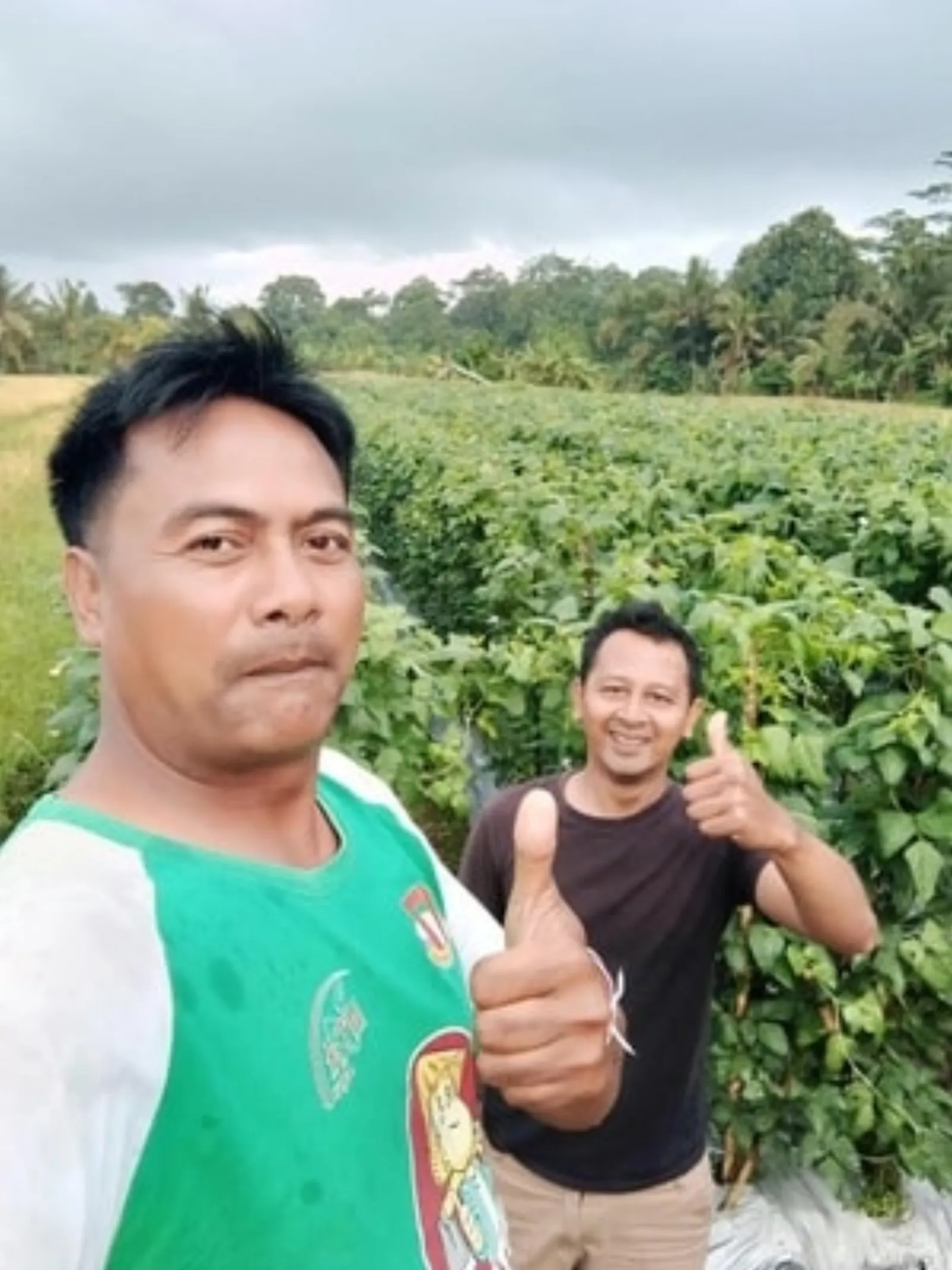 Nang Laras